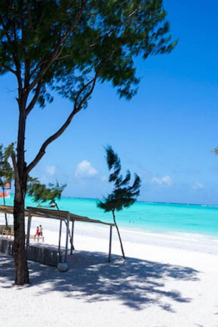 3-Day Zanzibar to Migration Fly-in&out Anniversary Tour